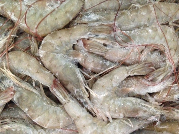 冷凍水產(chǎn)品進(jìn)口清關(guān)資料簡(jiǎn)介_進(jìn)口水產(chǎn)品標(biāo)簽問(wèn)題_副本.jpg