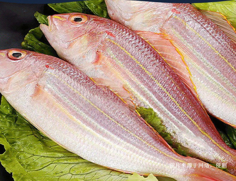 越南冷凍金線(xiàn)魚(yú)進(jìn)口報(bào)關(guān)流程
